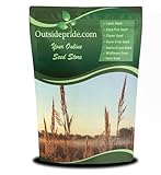 Outsidepride Perennial Andropogon Big Bluestem Grass Seed - 1 lb. Warm Season, Drought Resistant, Native Prairie Grass Seed, Ideal for Erosion Control, Ornamental Landscaping & Wildlife Gardens
