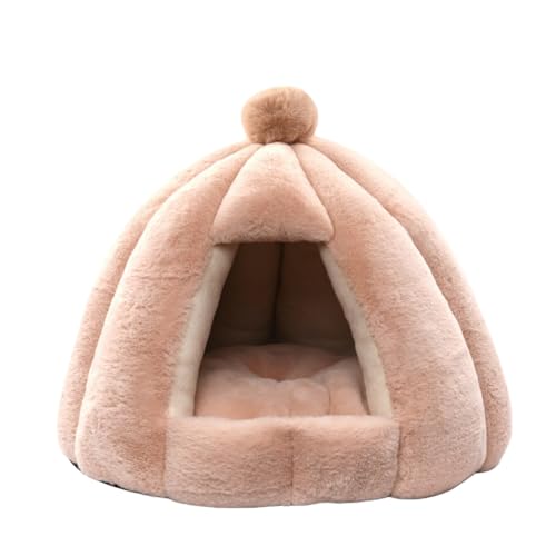 TPPT LnEX Lpxbh h[^ g[ GARK }bg ybgnEX  K _炩  g pQ 薰 ~ ۉh ybgpi p H ~ (TZbgIW)