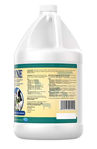 Dyne High Calorie Liquid for Livestock - Image 3