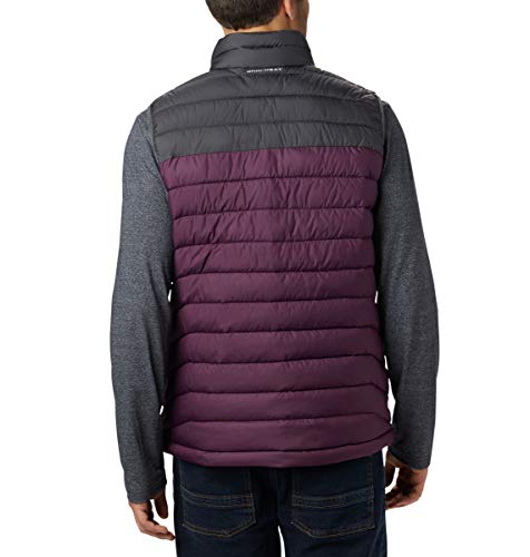 Image of Columbia mens Powder Lite Vest