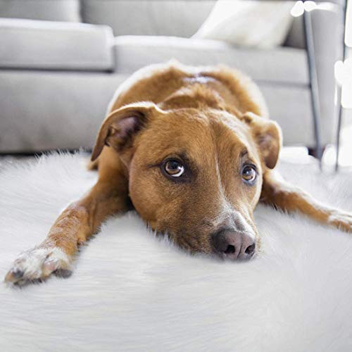 Rosielily Ultra Soft 1.3 X 2 Feet Faux Fur Rug, Fluffy Shaggy Area Rug Sheepskin Fur Rug, White Fuzzy Rug Machine Washable Shag Rug, Nursery Decor Throw Rugs Carpet For Bedroom, Kids Room, Living Room #TOP1