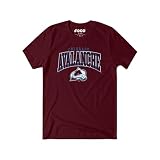 Colorado Avalanche NHL Mens Classic Arched Logo T-Shirt - Maroon - L
