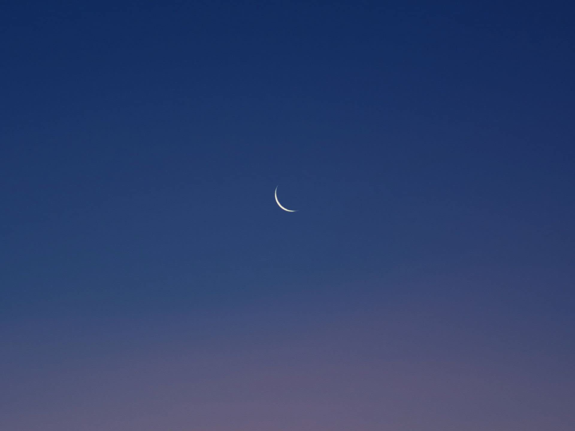 White Noise Reflection