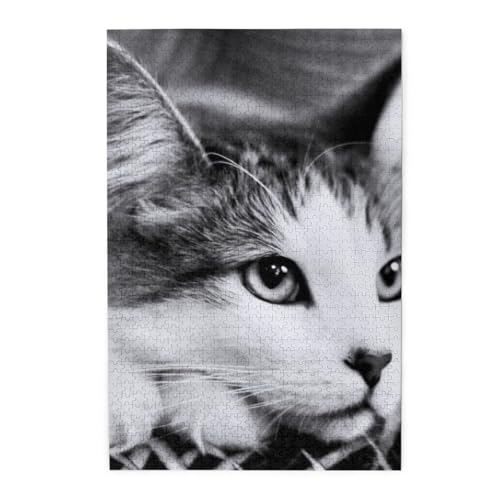 L ˂ 킢 i11j 1000s[X WO\[pY l jЂȂ J`ƃn} a  CeA MtgnEX i75×50cmj