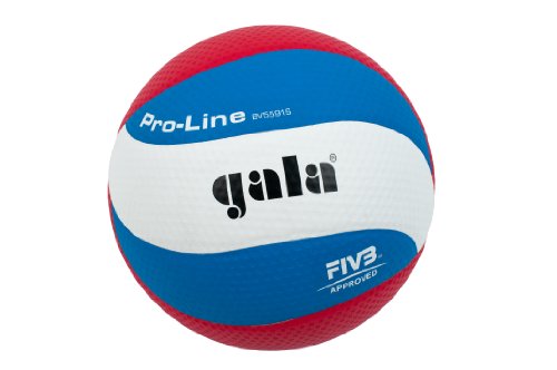 Gala 6 pz PROLINE 10 FIVB Approved