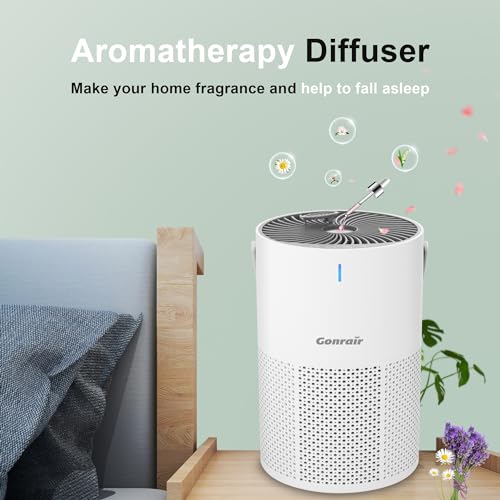 Image of Air Purifier for office home living room, bedroom, H13 True HEPA Filter (White, Air Purifier)
