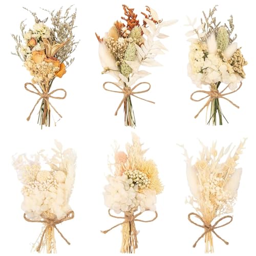 6 Pcs Bouquet de Fleurs Séchées Naturelles, Mini Fleurs Séchées, Fleur Sechees Decoration avec Tige, pour DIY Photo Photographie Prop Mariage Party Home Décoration Scrapbooking (Style B)