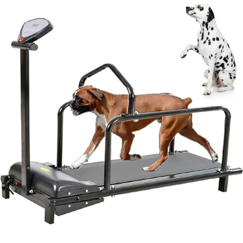 Hunde-Laufband für große und mittelgroße Hunde – Verstellbare Slatmill Maschine mit Schrittzähler für Indoor-Übung und gesunden Haustier-Lifestyle Hunde-Laufband für große und mittelgroße Hunde – Verstellbare Slatmill Maschine mit Schrittzähler für Indoor-Übung und gesunden Haustier-Lifestyle