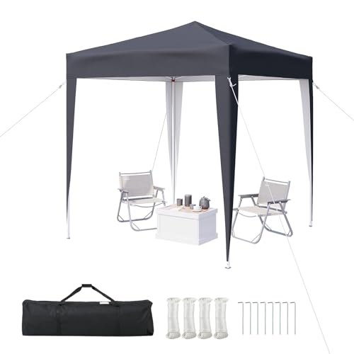 Aoxun Pop Up Gazebo 2m x 2m, Metal Frame Shelter Tent for Outdoor Garden Party, with Mesh Windows & Carry Bag,Grey