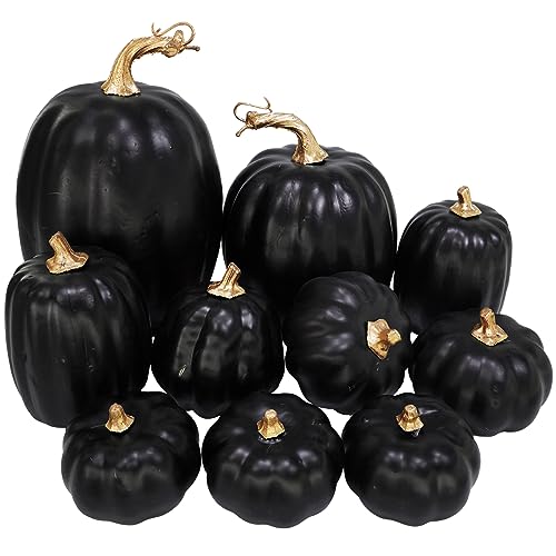 Winlyn 10 Pcs Assorted Artificial Black Pumpkins Decorative Halloween Pumpkins Black Faux Pumpkins Foam Pumpkins for Fall Halloween Thanksgiving Holiday Tabletop Centerpiece Mantel Dcor