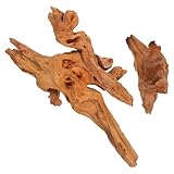 Décoration artistique pour aquarium : les formes uniques de ces morceaux de bois flotté créent une pièce maîtresse saisissante pour les aquariums d’eau douce, rehaussant l’intérêt visuel. ornement en bois pour aquarium