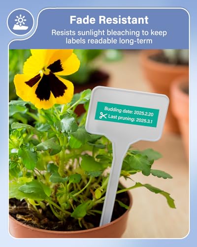 Image of 24mm TZ Tape Replacement for TZe Tape 24 mm 0.94 P-Touch TZe Ribbon Laminated TZ Colored Refills Compatible with Brother Label Maker Tape PT-D600 D610BT P700 P710BT Cube Plus, 1 inch x 26.2', 6 Pack