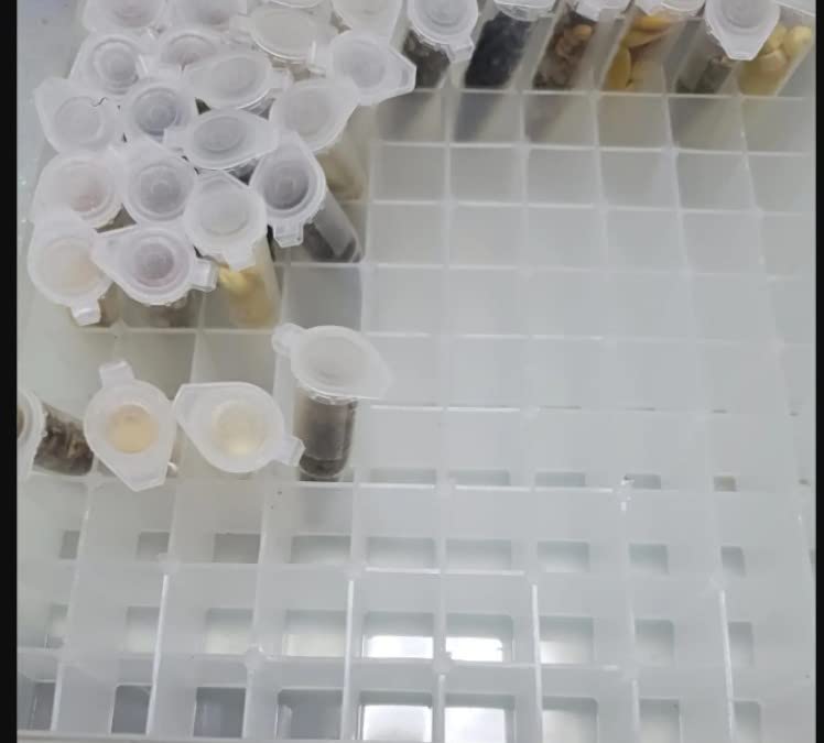 Miniatura 7 de Othmro Tubos cónicos de ensayo de centrífuga de 0.0fl oz con tapa a presión, 1000 unidades, recipiente de prueba de laboratorio, tubo de ensayo de