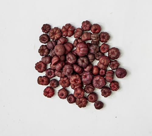 Putka Pods naturales miniatura Burdeos 2 lb caja miniatura 1
