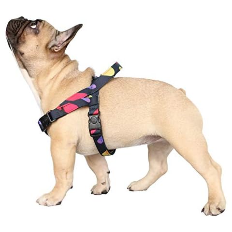 iChoue Dog Harness Easy On and Off Adjustable Harness Lightweight Harness with Handle for Small and Medium Dogs - Colorful Wave Point Size S Cover