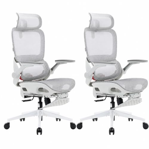 Image of SIHOO B100 Pro Ergonomic Office Chair with Adaptive Lumbar Support, Computer Chair with Dual-Back, Desk Chair with 360 Rotatable & Flip-Up Armrests, 3D Wide Headrest, 2 Packs, Light Grey