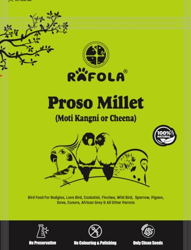 Image of Proso Millet Bird Food | MOTI KAGNI | CHEENA Dana | Natural & Healthy | Premium Seed | Suitable For All Type Birds | 900G,All Life Stages