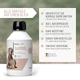 ReaVET Darmöl für Hunde 250ml I Verdauung, Darmflora I Sekundierend bei Verstopfung und Verdauungsproblemen, kein Remedium und Laxans