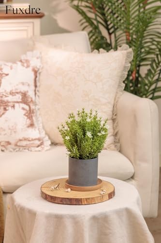 Fuxdre 2 Pack Small Desk Plants, Artificial Bathroom Plants Decor with Thyme Flower in Vintage Melamine Pots, Faux Plants Indoor for Shelf Decor in Home Office, and Spring Decor (Ivory) — view 6
