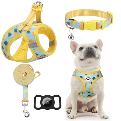 EXPAWLORER Small Dog Harness and Leash Set - Cute Puppy Harness Leash Dog Collar with AirTag Holder Silicone Case, Soft Padded Step in Pet Vest Reflective for Outdoor Walking, Pineapple S