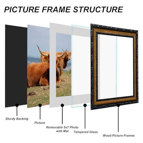 Image of Black 8x10 Picture Frame Wood Gold Frames Ornate | Real Glass, Matted 5x7 or 8 x 10 Photos, Easy Photo Changes, Tabletop or Wall Hanging