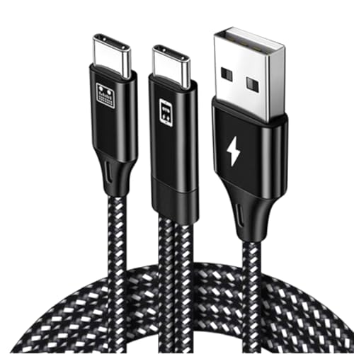 �f�o�C�X�ł̃��C�u�X�g���[�~���O�p�̑��p�r USB C �A�_�v�^�[�P�[�u�� �����[�d���C�u�X�g���[�~���O�T�E���h�J�[�h - Type C �R���o�[�^�[