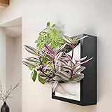Awesome Plant Wall Garden 4 Vertical Wall Planter, 4 Pots Wood Frame Self Watering Living Planter for Home Office Decor, Wall-Mounted Planter for Indoor Houseplants (Black)