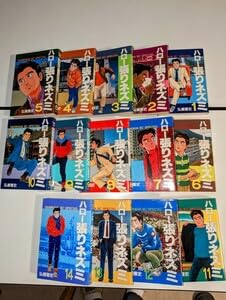 Amazon.co.jp: 弘兼憲史 ハロー張りネズミ 全14巻セット : おもちゃ