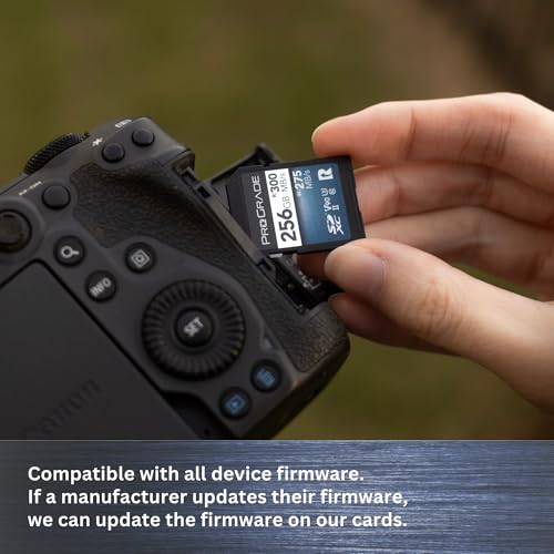 Image of ProGrade Digital SDXC UHS-II V90 Iridium Memory Card (256GB)