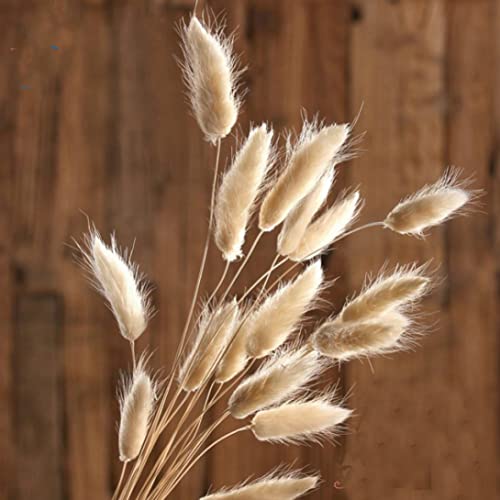 Bouquet pampas de table : 50 queue de lapin séchée pour centre de table - 8