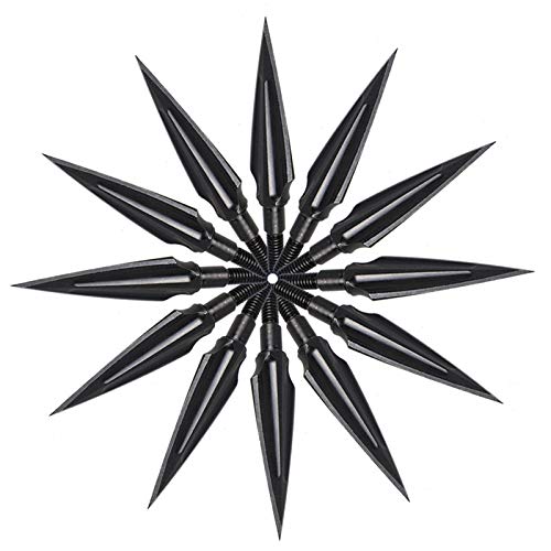 Sinbadteck Traditional Hunting Points,12PCS 125Grains Hunting Broadheads Arrow Head Crossbow Compound Bow Shooting