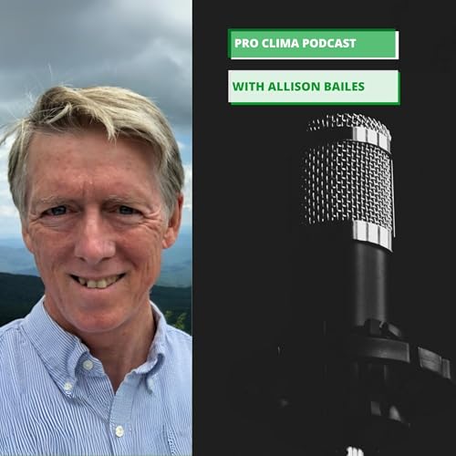 Episode 28: Allison Bailes cover art