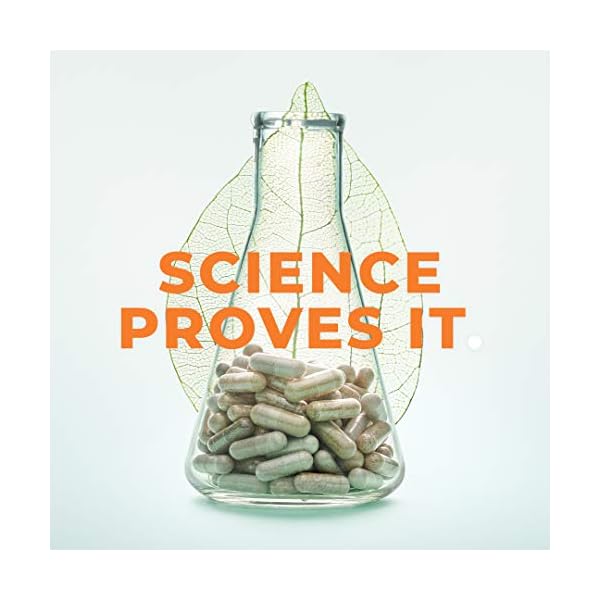 LifeSeasons-Anxie-T-Herbal-Stress-Relief-Supplement-to-Relax-and-Calm-Mind-Contains-Ashwagandha-Kava-Kava-GABA-L-Theanine-60-Capsules Anxie-T - Stress Relief Supplement - Booosts Mood & Mental Focus - Supports Natural Sleep Cycles - Feel Calm and Relaxed - Eases Tension - Ashwagandha, Kava Kava, GABA & L-Theanine - 60 Capsules