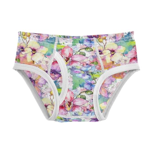 Boys' Exclusive Briefs Toddler Underwear 95% Combed Cotton Boxerbriefs 2T Floral Watercolor Painting 8