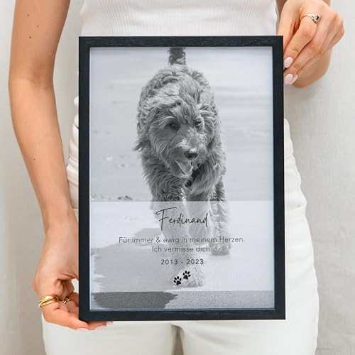 DEL MÀ Unique & Personal Andenken an verstorbenen Hund Bild im Stil einer Gedenktafel zur Erinnerung & Trauer personalisiert mit Foto Geschenk für Hundebesitzer mit Bilderrahmen Din A4 (Hochformat)