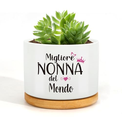 Wixelon Regalo Nonna Natale,Regalo Nonna Compleanno,Nonni Idee Regali,Regalos per Nonne,Regali per la Nonne,Vaso di Succulente,Festa Dei Nonni Idee Regalo