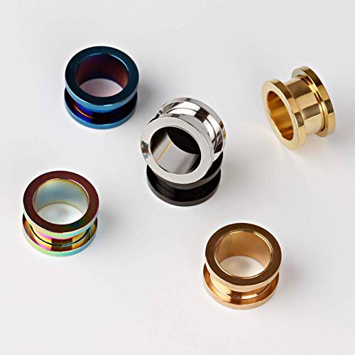 TBOSEN Set of 12 pcs Stainless Steel Ear Plugs Large Alloy Gauges Stretching Screw Fit Tunnels Gauge 2g - 1 inch4