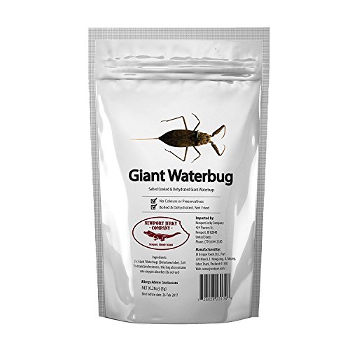Newport Jerky Company Edible Insects | Edible Giant Water Scorpion | Edible Waterbug