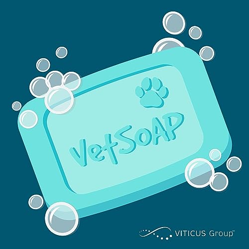 VetSOAP Podcast (Video) cover art