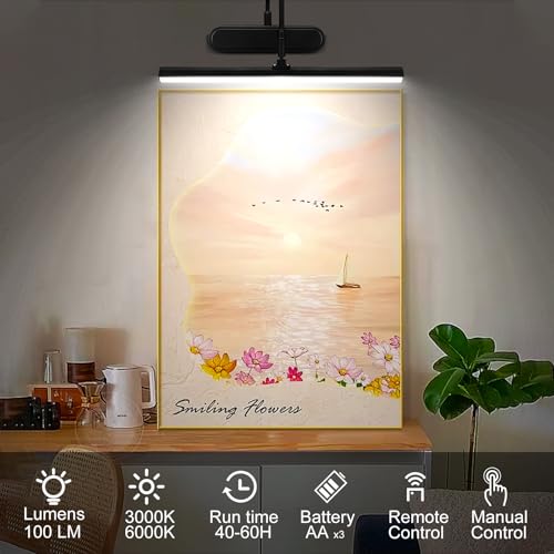 Image of HEAGEERO Picture Light Battery Operated,Timer and Dimmable Wireless Accent LightMetal Picture Lights for Wall, Remote Wall Light for Display, Art,Dartbord-Black.