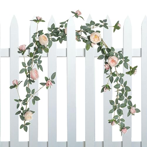 lHô - t[K[h z[fR[V ô | 1.8mAEFfBOAtFXeBoAKiȂ