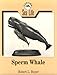 Carving Sea Life: Sperm Whale;Carving Sea Life