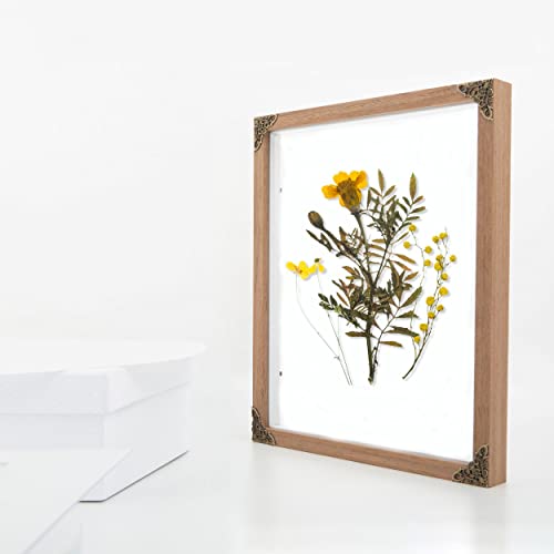 Wooden Picture Frames 11X12" Acrylic Clear Double Display Frames Plant Flower Pressed Frames 4 Metal Retro Style Corners Decor Wall Mount Tabletop Standing Exhibition Hall Office Home Living Room #TOP2