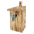LEVIATAN Paridae Nesting Box | Nature for Great Tit 33 mm | Solid Wood I Ready-to-Use, No Assembly Required | Screwed Nesting Boxes for Birds | Tit Box, Bird House | Weatherproof