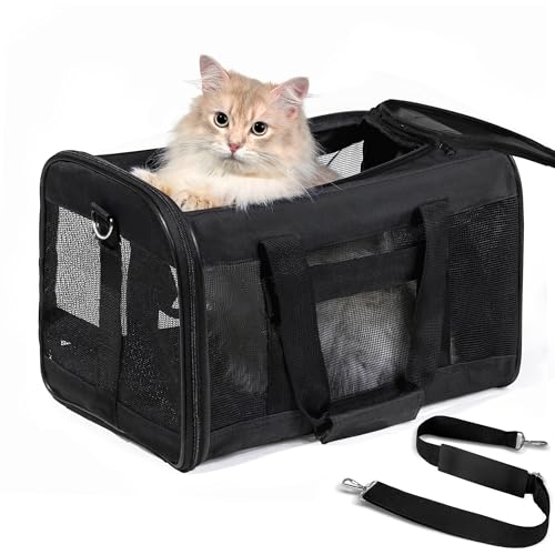 Cat Carrier Airline Approved, Soft-Sided Dog Carrier with Inner Safety Leash, Pet Transport Carrier for Small-Medium Cats Puppies up to 15 Lbs, Collapsible Travel Kitten Carrier Bag -BlackM