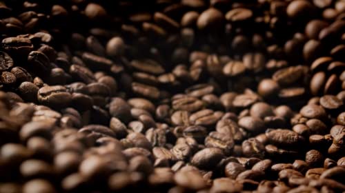 Buddy Brew Coffee, café en grano tostado medio, pack 3 bolsas 6 oz miniatura 5
