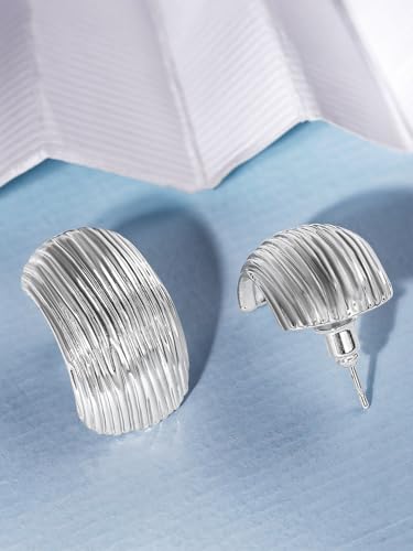 Image of Rubans Earrings Voguish Studs Jewellery Gift for Women & Girls