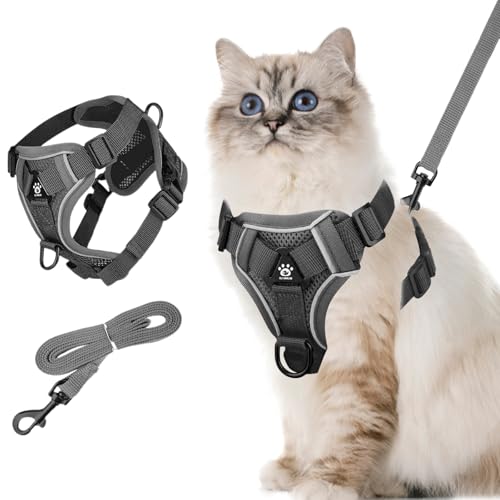 Air-Mesh Atmungsaktiv Brustgeschirr, Verstellbares Katzengeschirr mit 1,5m Leine, Reflektierend Weich Gepolstert Hunde Geschirr, Ausbruchsicher Hund Geschirr für Welpen Hase Katze (M) Air-Mesh Atmungsaktiv Brustgeschirr, Verstellbares Katzengeschirr mit 1,5m Leine, Reflektierend Weich Gepolstert Hunde Geschirr, Ausbruchsicher Hund Geschirr für Welpen Hase Katze (M)