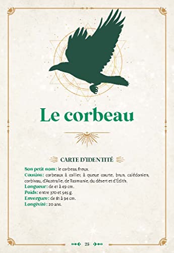 Les messages des oiseaux: symboliques, oracles, énergies
