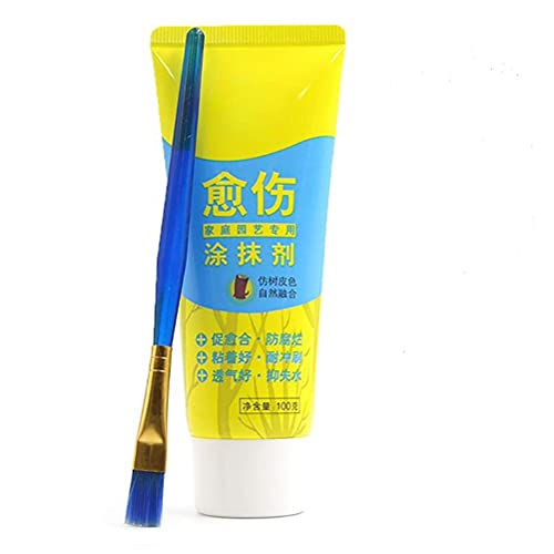 Wination Pâte à greffer pour bonsaï - Agent cicatrisant efficace pour les plaies - 100 g - Avec brosse